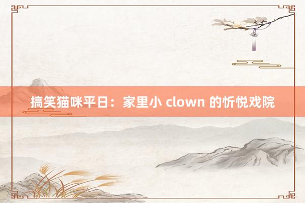 搞笑猫咪平日：家里小 clown 的忻悦戏院